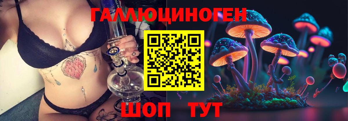 Муром  Псилоцибиновые грибы GOLDEN TEACHER  Вход с VPN 